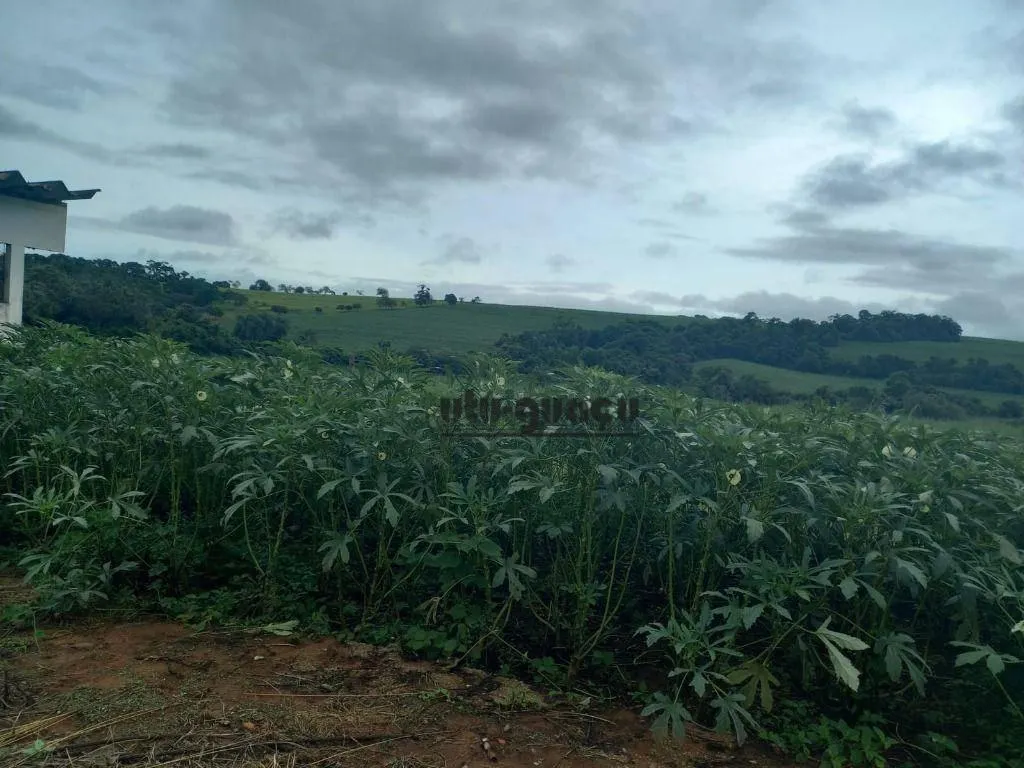 Fazenda à venda de 399 ha em Itapetininga, SP, Brasil