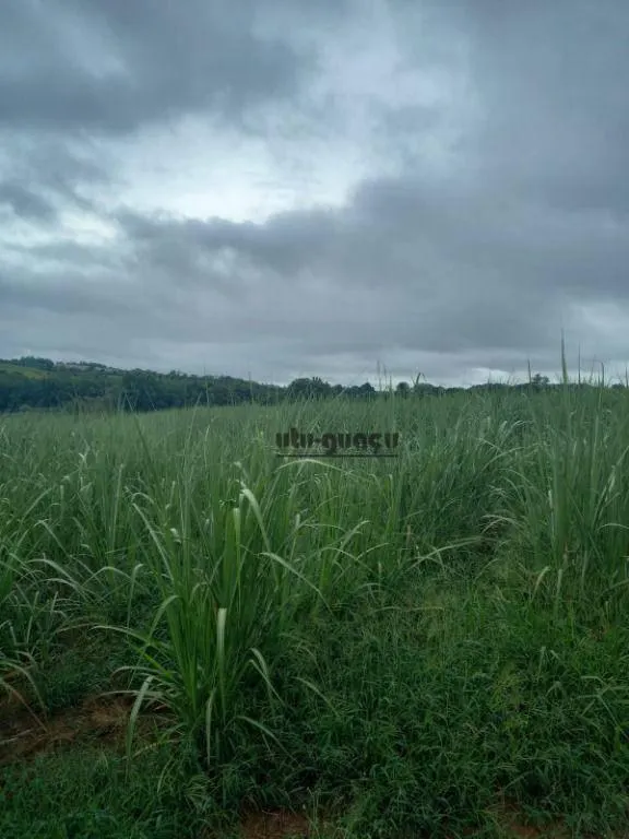 Fazenda à venda de 399 ha em Itapetininga, SP, Brasil