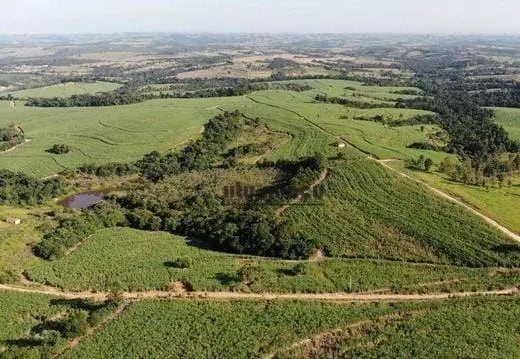 Fazenda à venda de 399 ha em Itapetininga, SP, Brasil