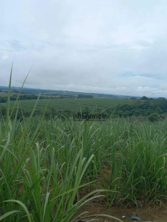 Fazenda à venda de 399 ha em Itapetininga, SP, Brasil