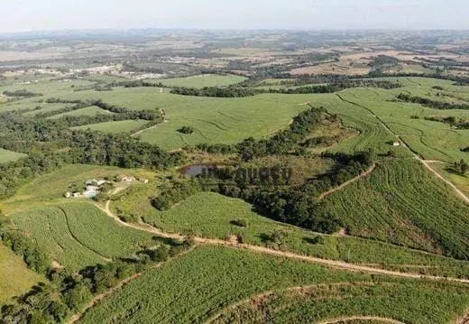 Fazenda à venda de 399 ha em Itapetininga, SP, Brasil