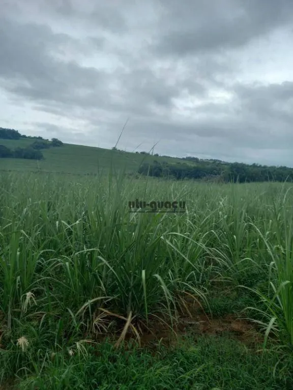 Fazenda à venda de 399 ha em Itapetininga, SP, Brasil