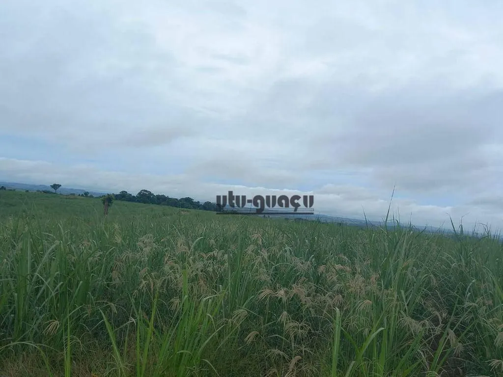 Fazenda à venda de 399 ha em Itapetininga, SP, Brasil