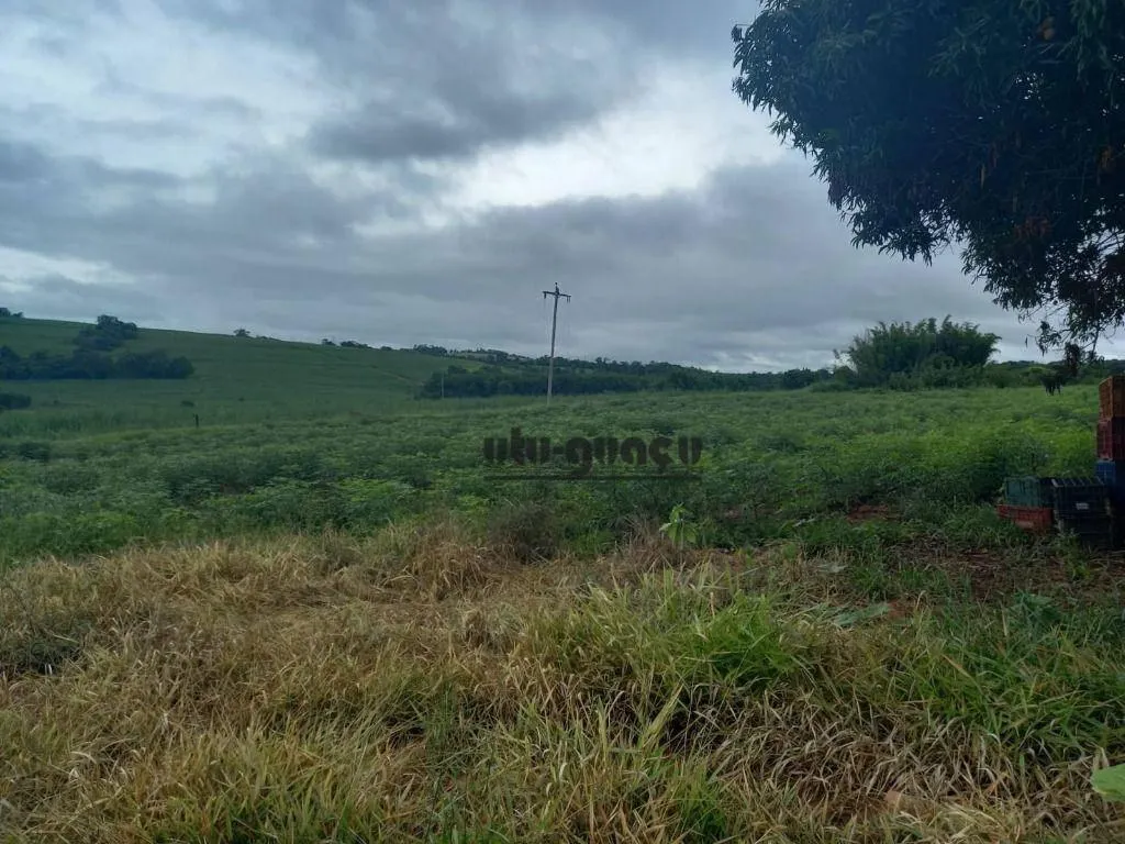 Fazenda à venda de 399 ha em Itapetininga, SP, Brasil