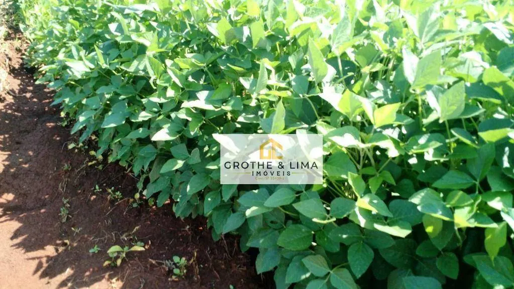 Farm for sale of 3,413 acres in Terenos, MS, Brazil