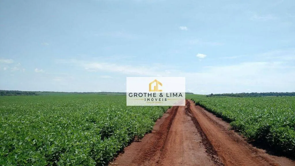 Farm for sale of 3,413 acres in Terenos, MS, Brazil