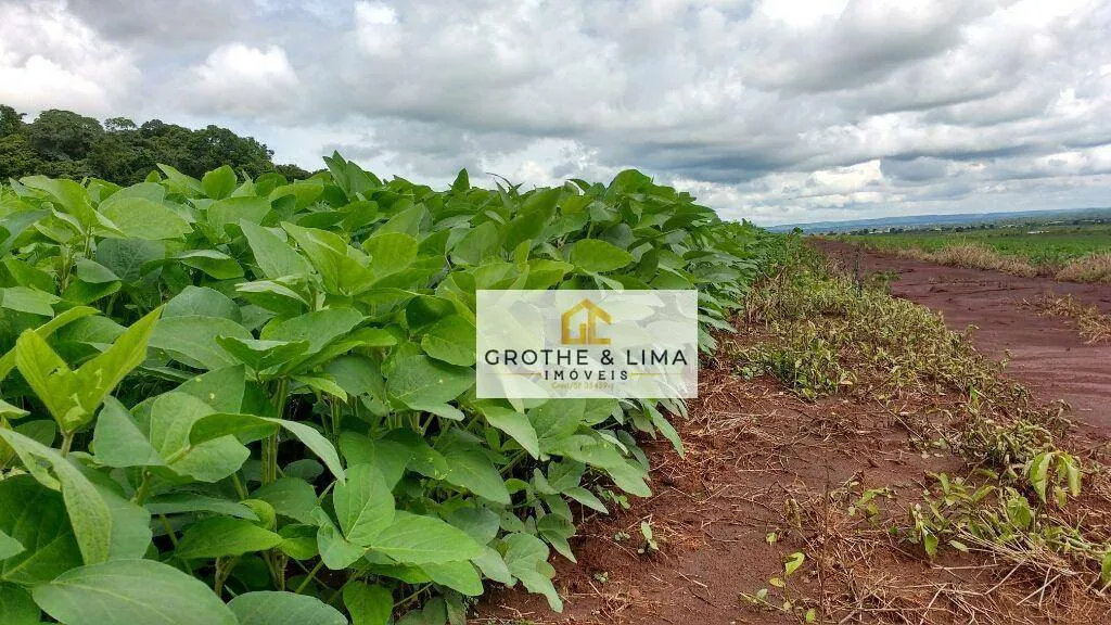 Farm for sale of 3,413 acres in Terenos, MS, Brazil