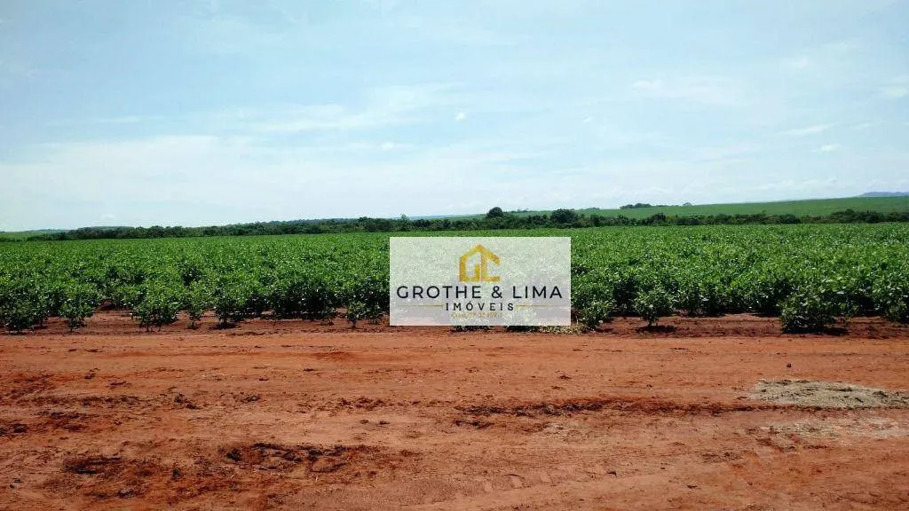 Farm for sale of 3,413 acres in Terenos, MS, Brazil