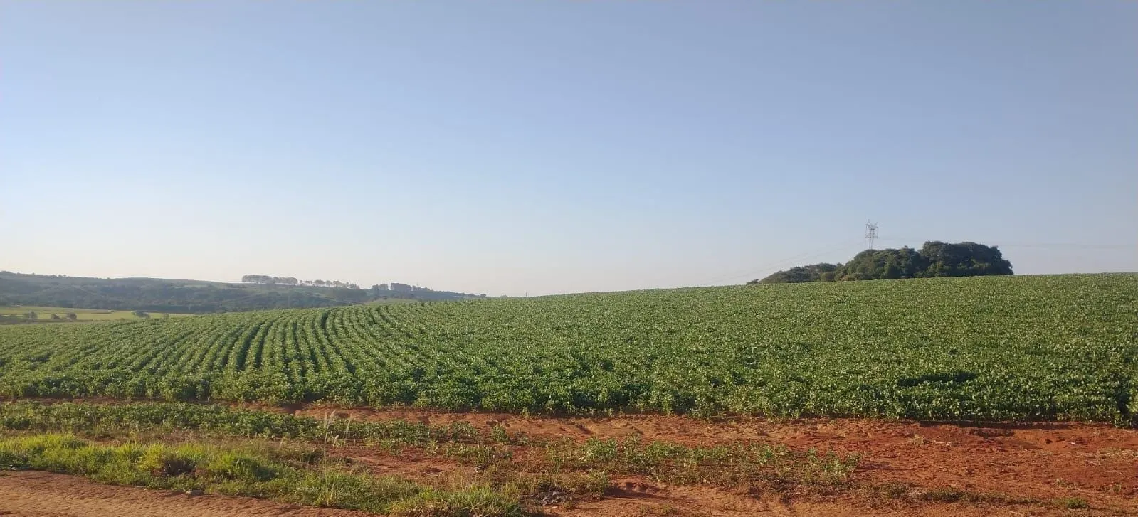 Fazenda à venda de 240 ha em Sorocaba, SP, Brasil