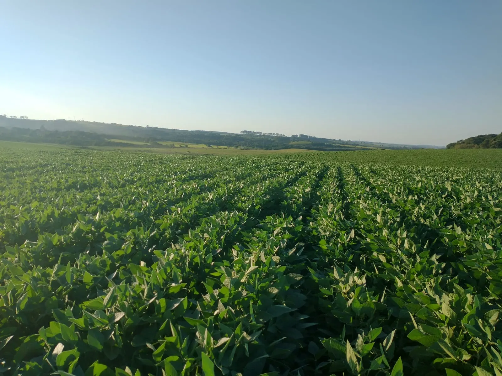 Fazenda à venda de 240 ha em Sorocaba, SP, Brasil