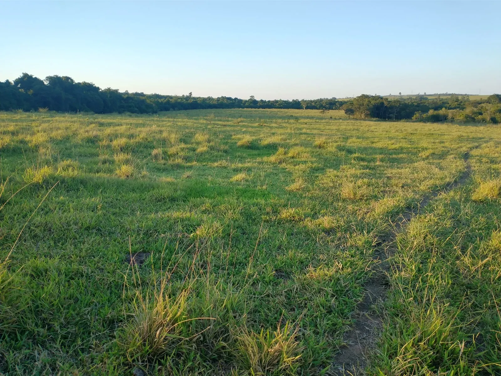 Fazenda à venda de 240 ha em Sorocaba, SP, Brasil