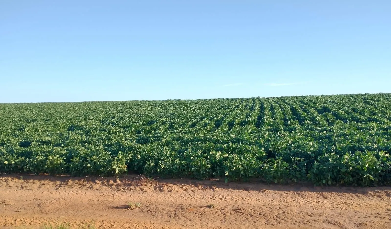 Fazenda à venda de 240 ha em Sorocaba, SP, Brasil