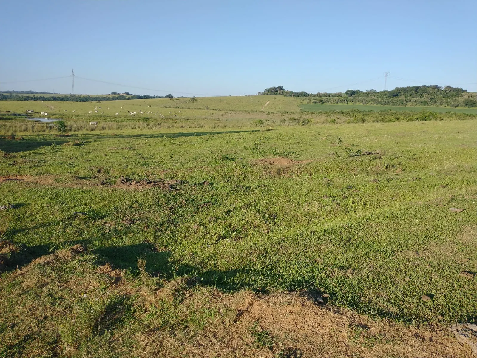 Fazenda à venda de 240 ha em Sorocaba, SP, Brasil