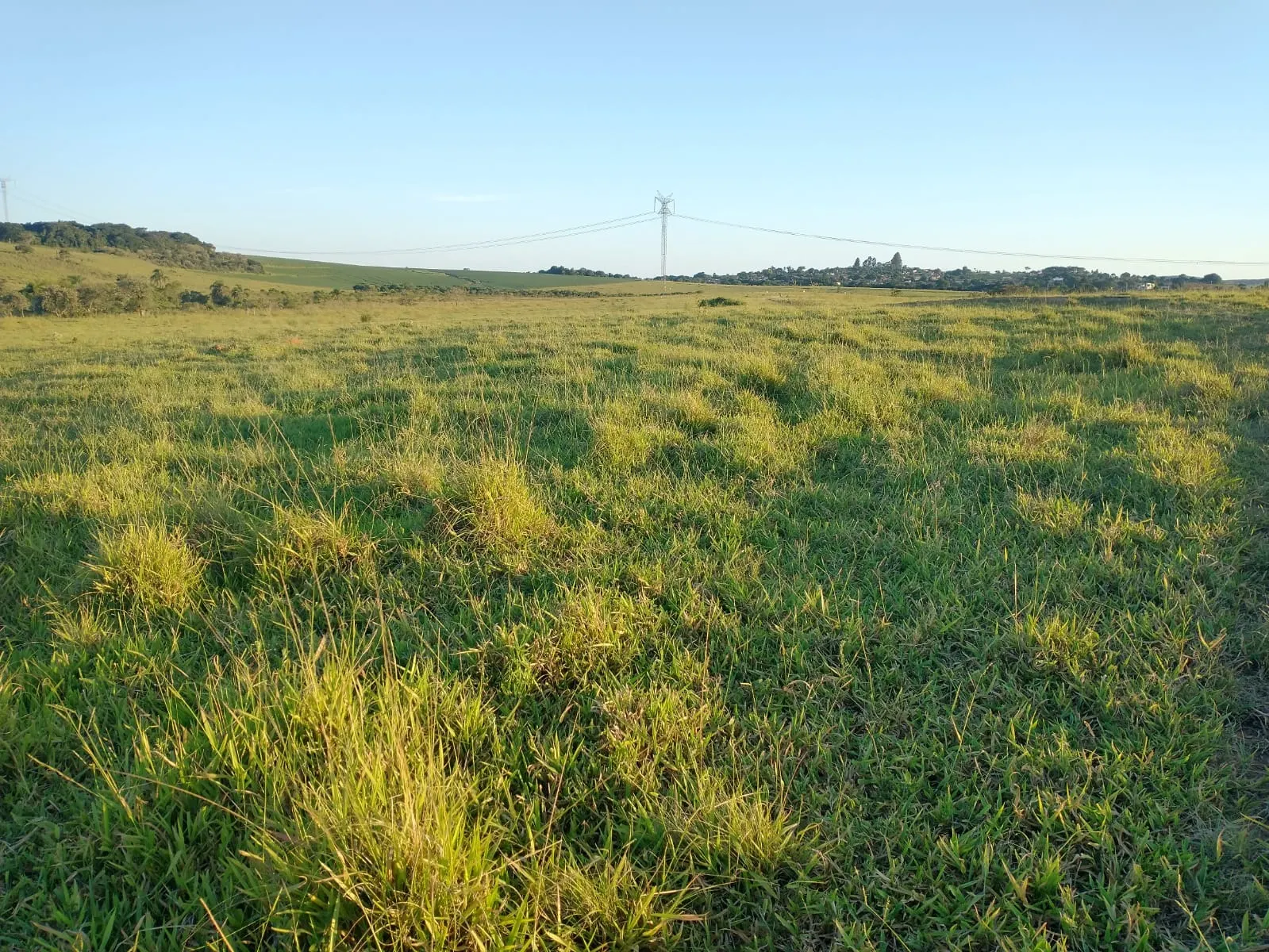 Fazenda à venda de 240 ha em Sorocaba, SP, Brasil