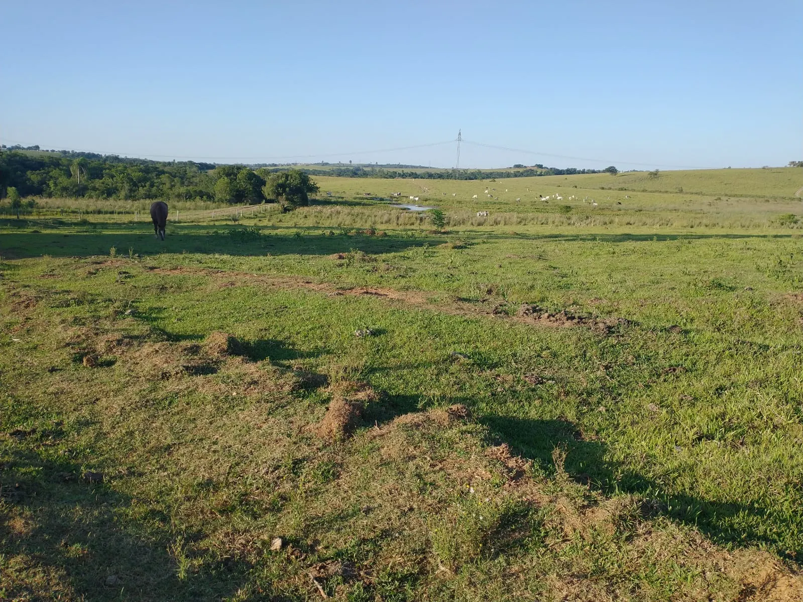 Fazenda à venda de 240 ha em Sorocaba, SP, Brasil