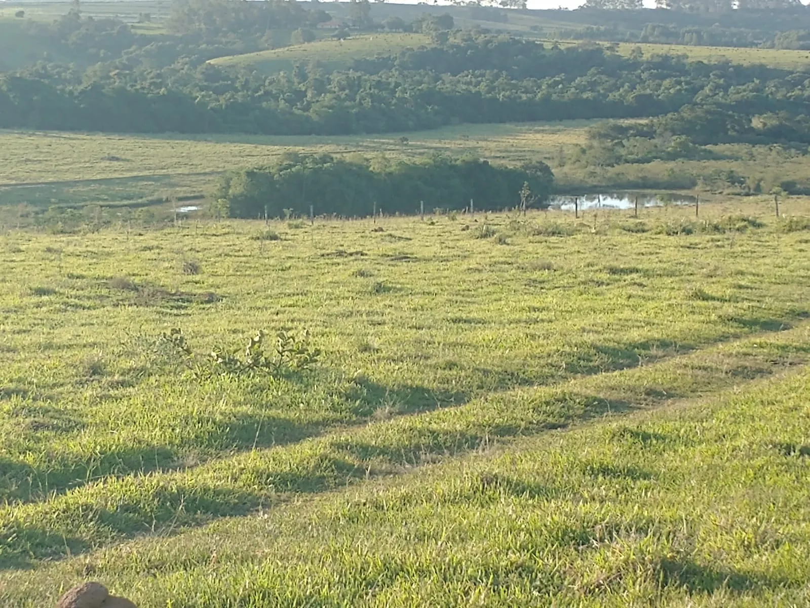 Fazenda à venda de 240 ha em Sorocaba, SP, Brasil