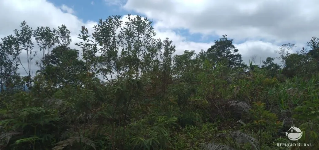 Plot for sale of 5 acres in Monteiro Lobato, SP, Brazil