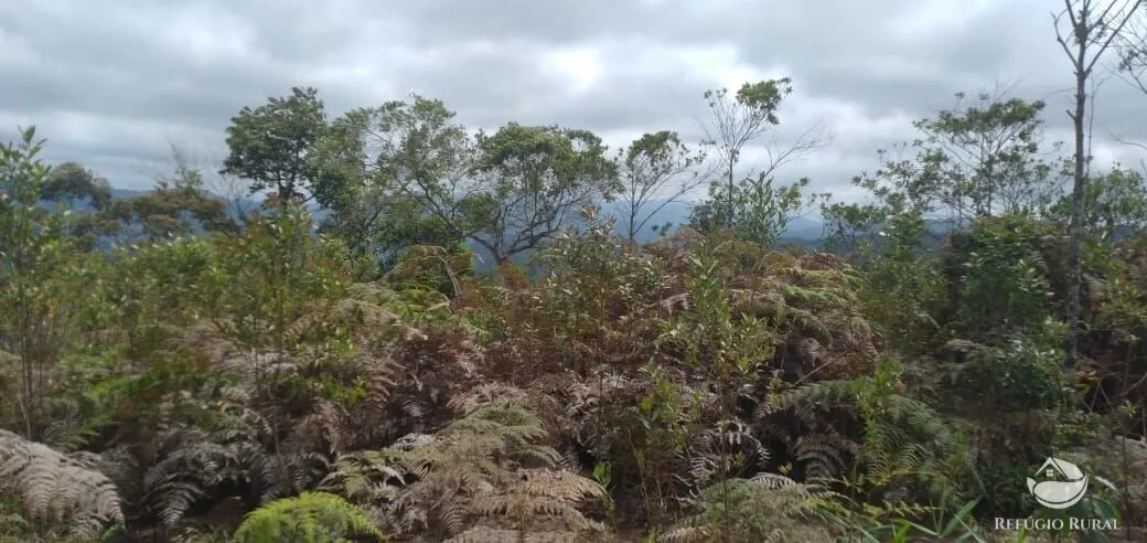 Plot for sale of 5 acres in Monteiro Lobato, SP, Brazil