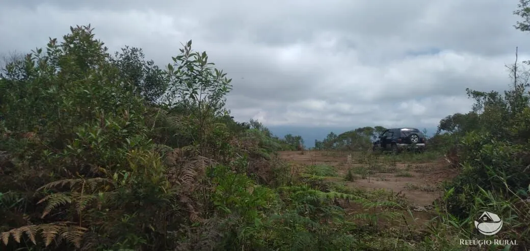 Plot for sale of 5 acres in Monteiro Lobato, SP, Brazil