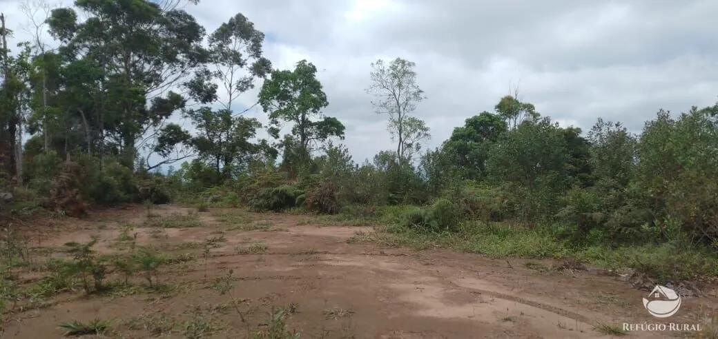 Plot for sale of 5 acres in Monteiro Lobato, SP, Brazil