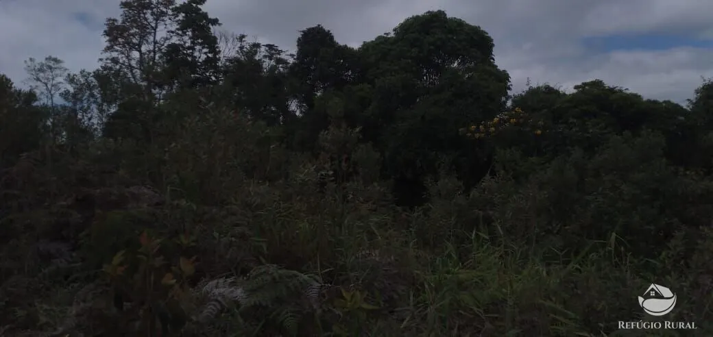 Plot for sale of 5 acres in Monteiro Lobato, SP, Brazil
