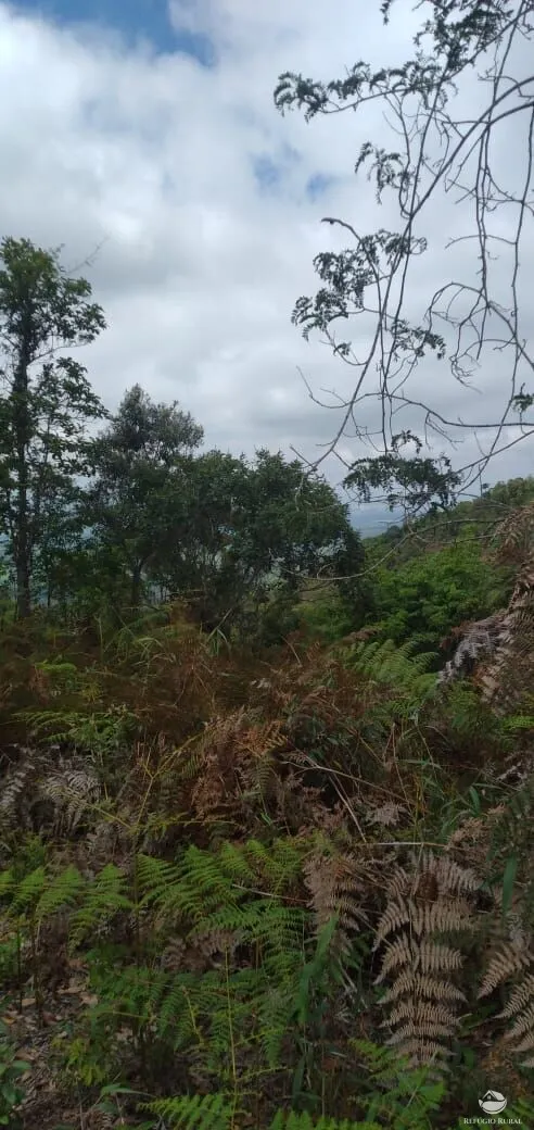 Plot for sale of 5 acres in Monteiro Lobato, SP, Brazil