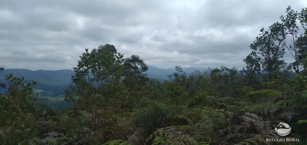Plot for sale of 5 acres in Monteiro Lobato, SP, Brazil