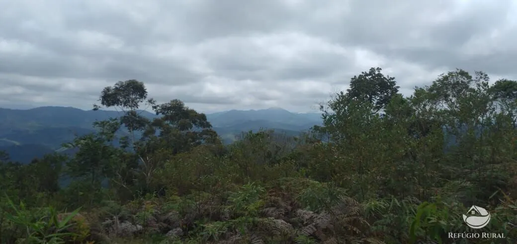 Plot for sale of 5 acres in Monteiro Lobato, SP, Brazil