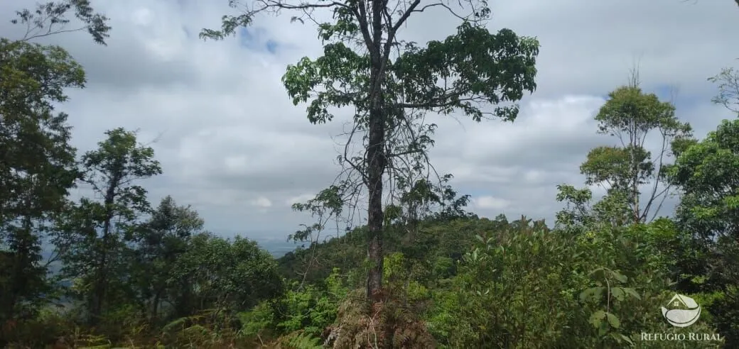 Plot for sale of 5 acres in Monteiro Lobato, SP, Brazil