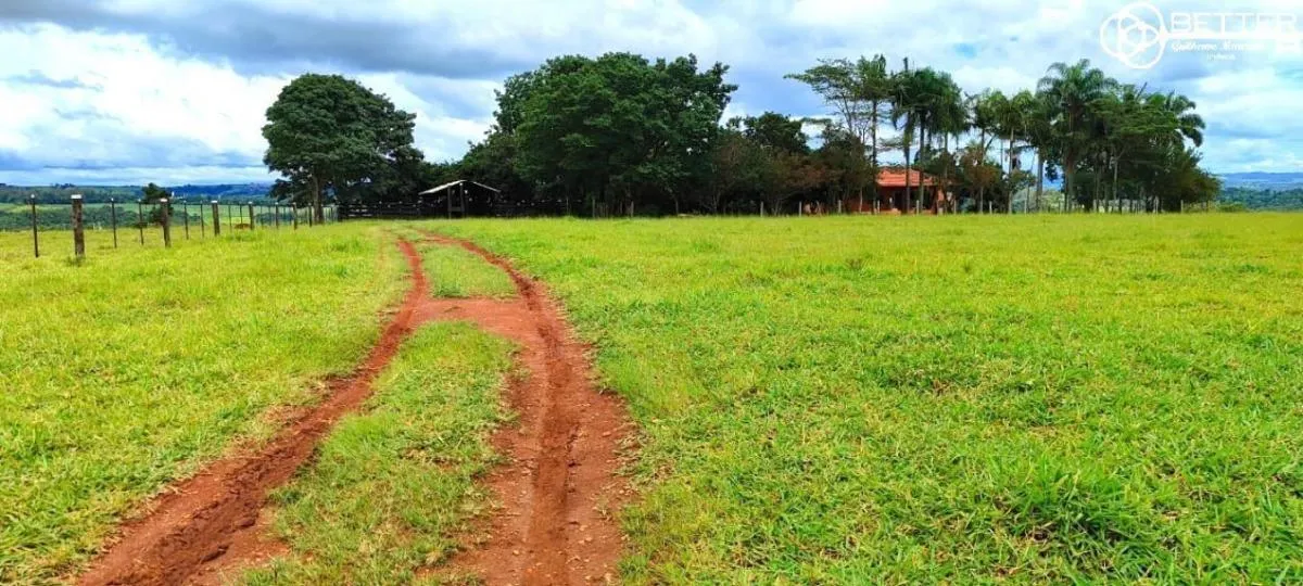 Small farm for sale of 72 acres in Itapetininga, SP, Brazil