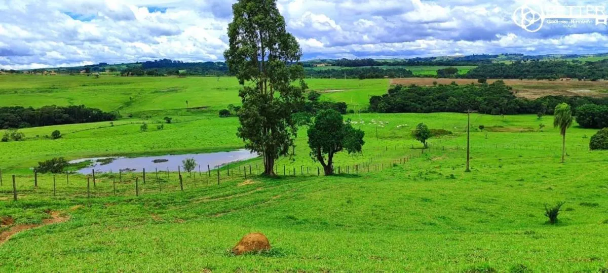 Small farm for sale of 72 acres in Itapetininga, SP, Brazil