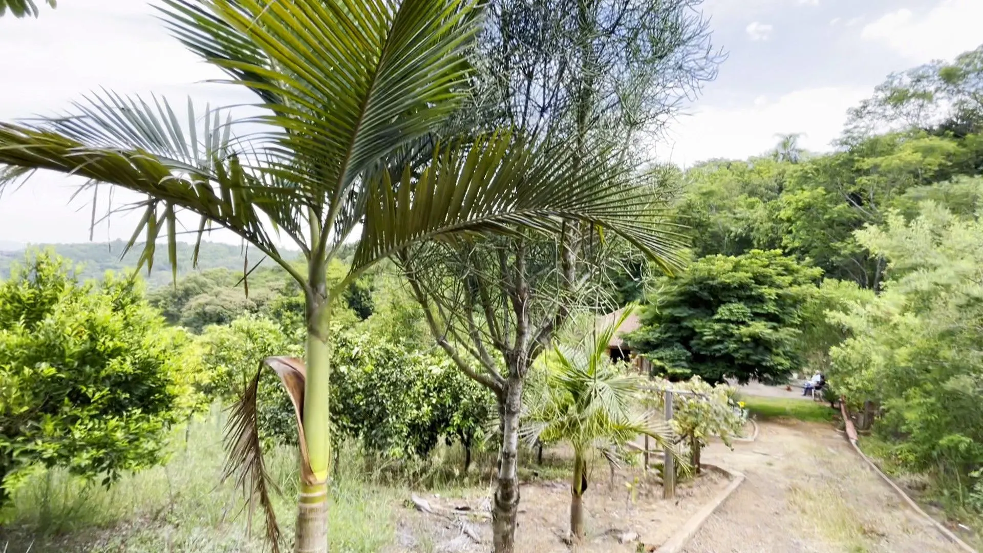 Chácara à venda de 1 ha em Taquara, RS, Brasil