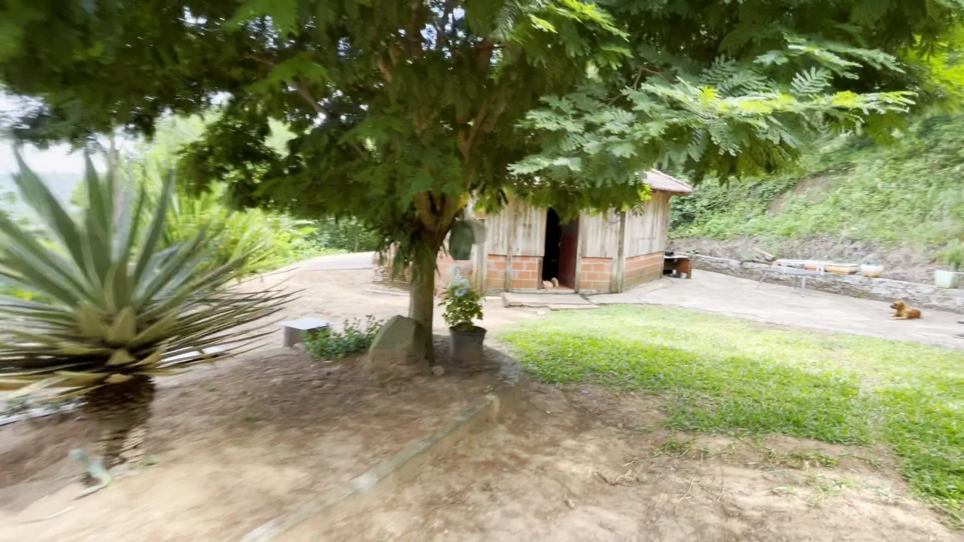 Chácara à venda de 1 ha em Taquara, RS, Brasil