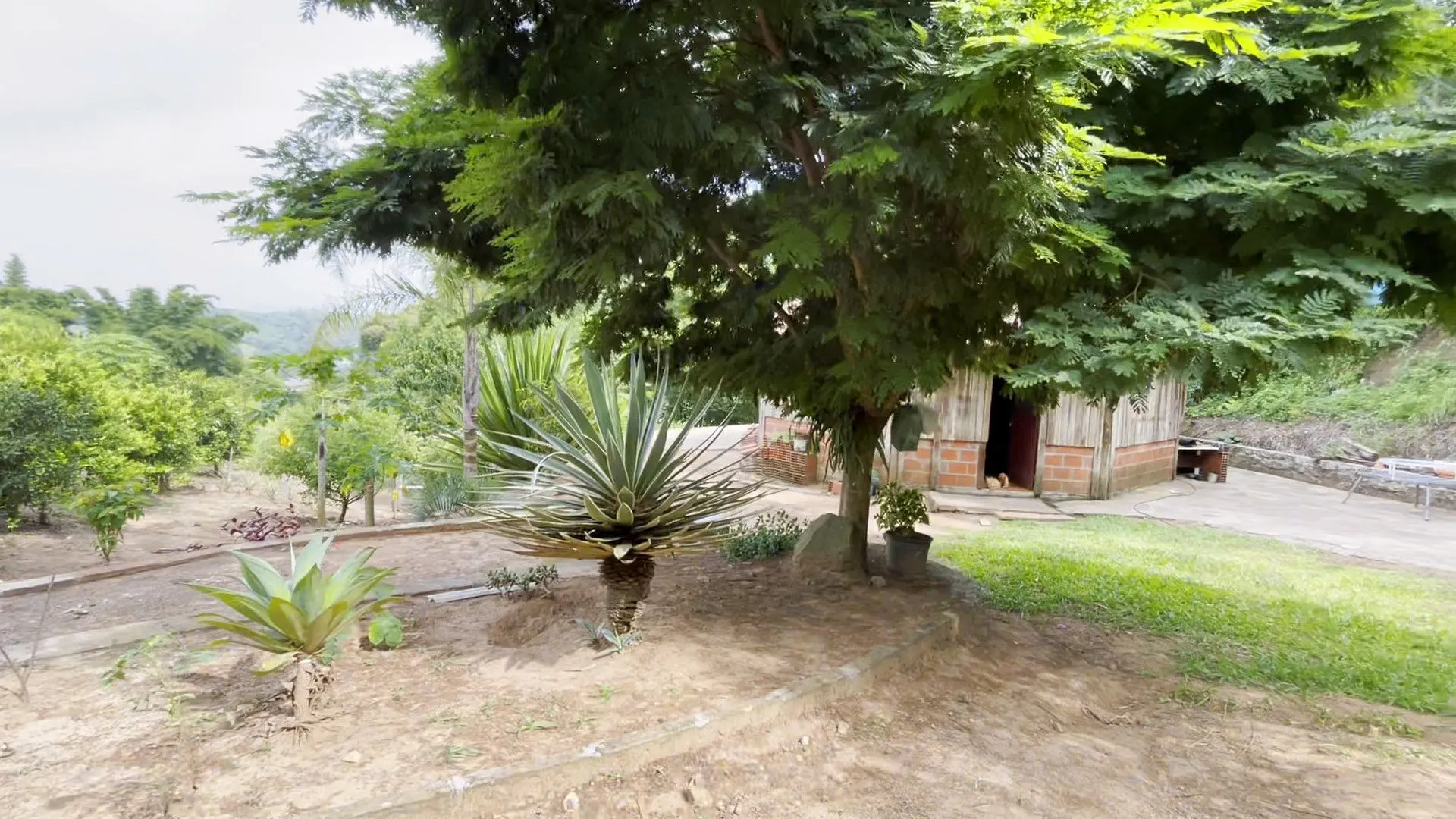 Chácara à venda de 1 ha em Taquara, RS, Brasil