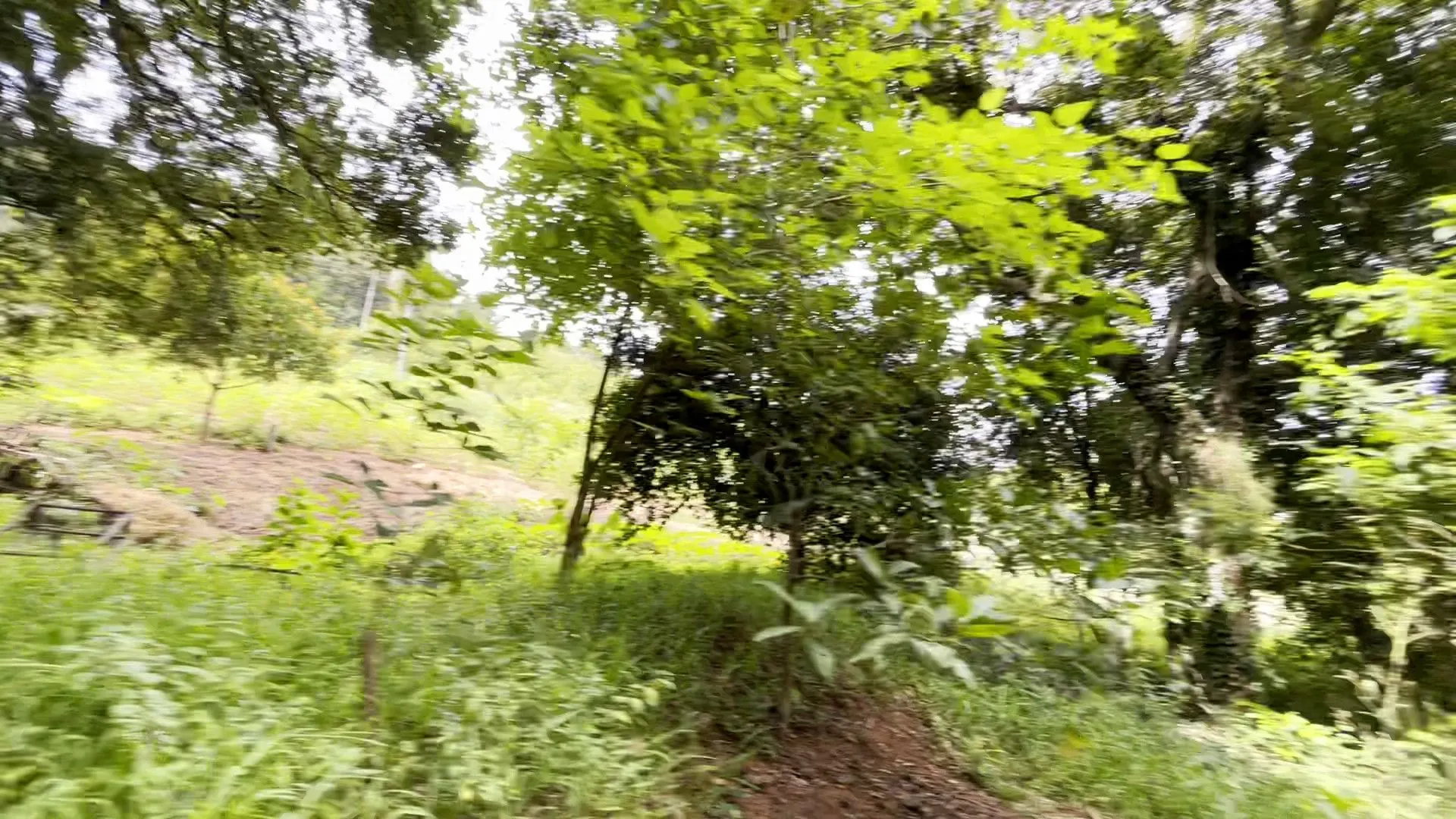 Chácara à venda de 1 ha em Taquara, RS, Brasil