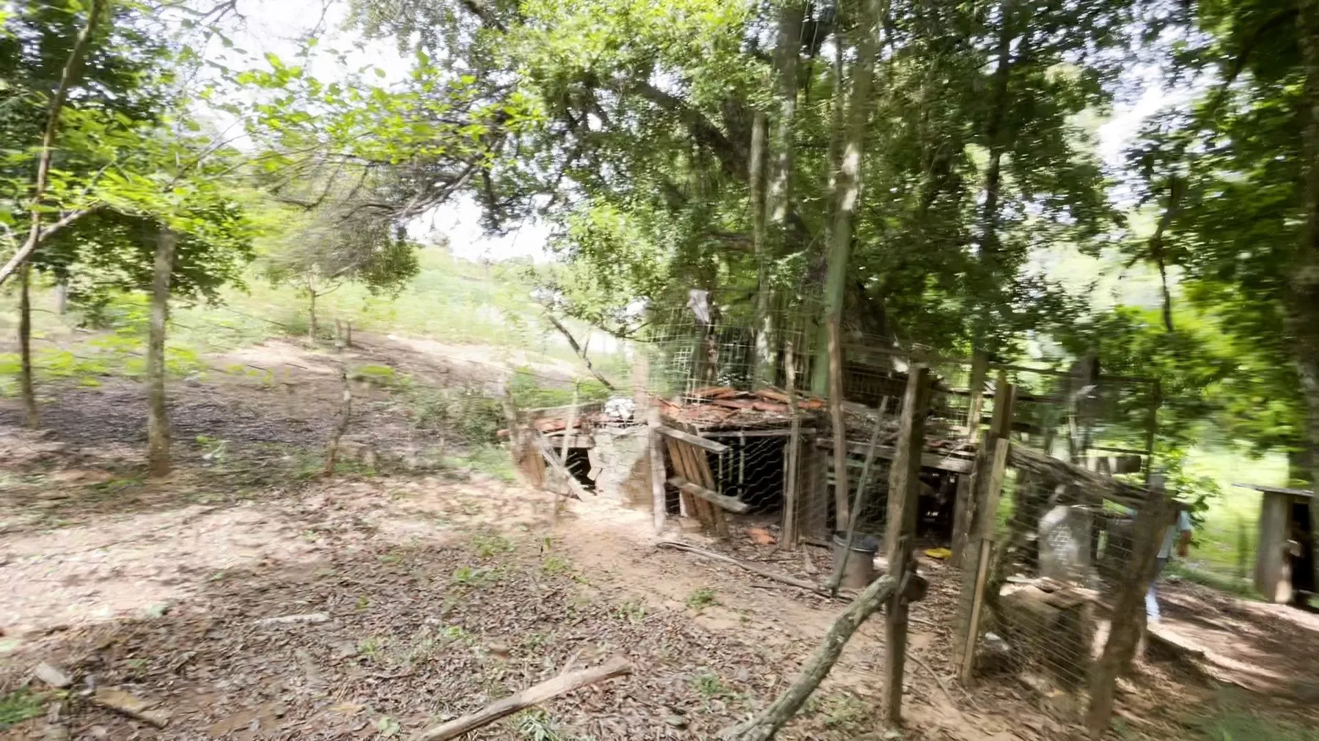 Chácara à venda de 1 ha em Taquara, RS, Brasil