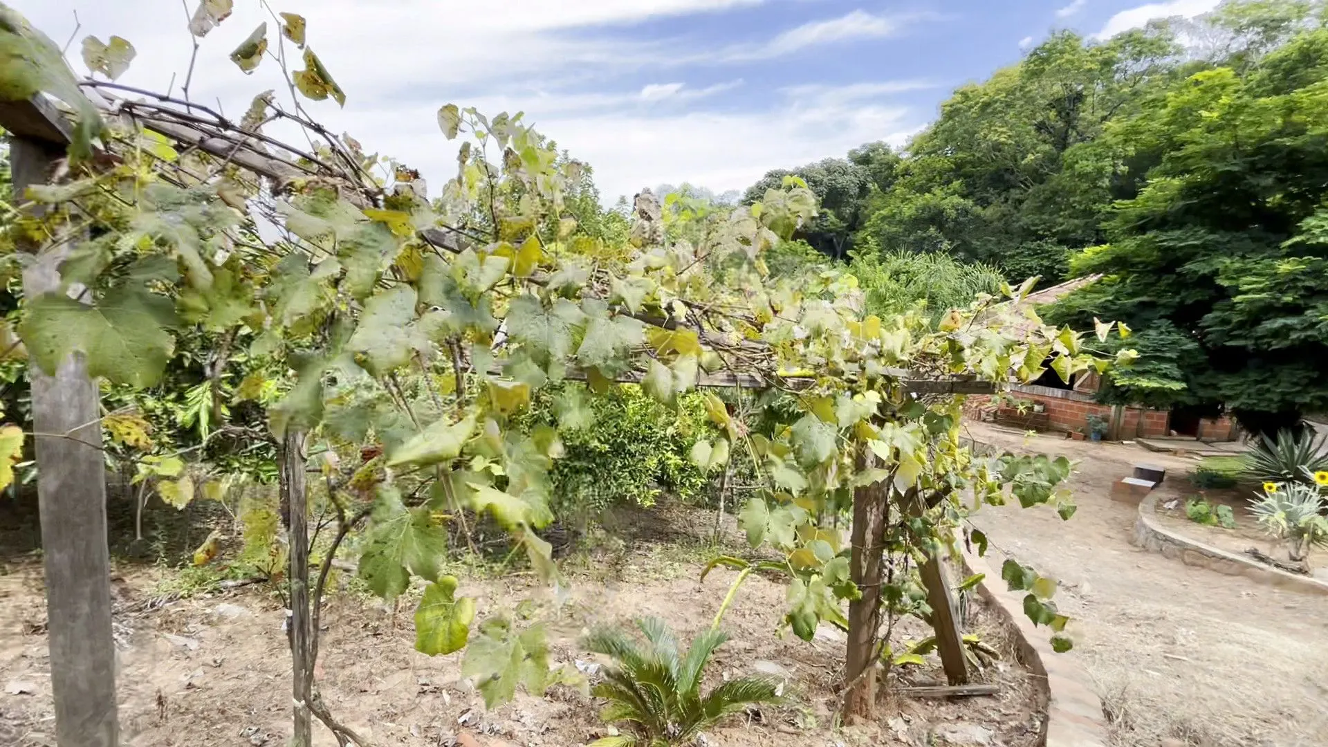 Chácara à venda de 1 ha em Taquara, RS, Brasil