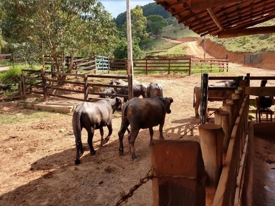 Fazenda à venda de 600 ha em Paraibuna, SP, Brasil