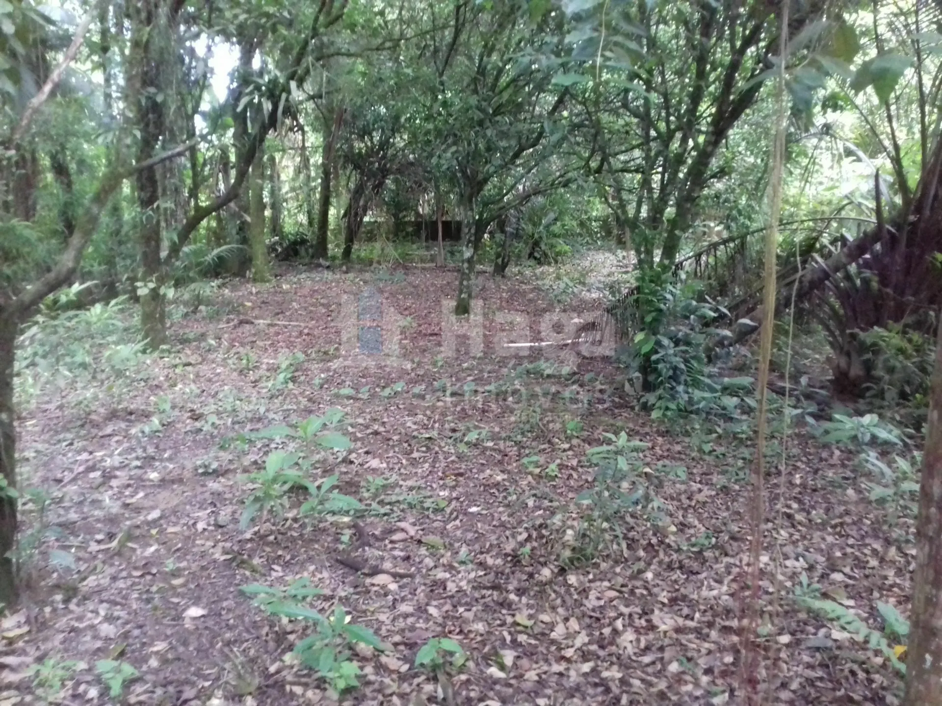Terreno à venda de 7.700 m² em Guabiruba, SC, Brasil
