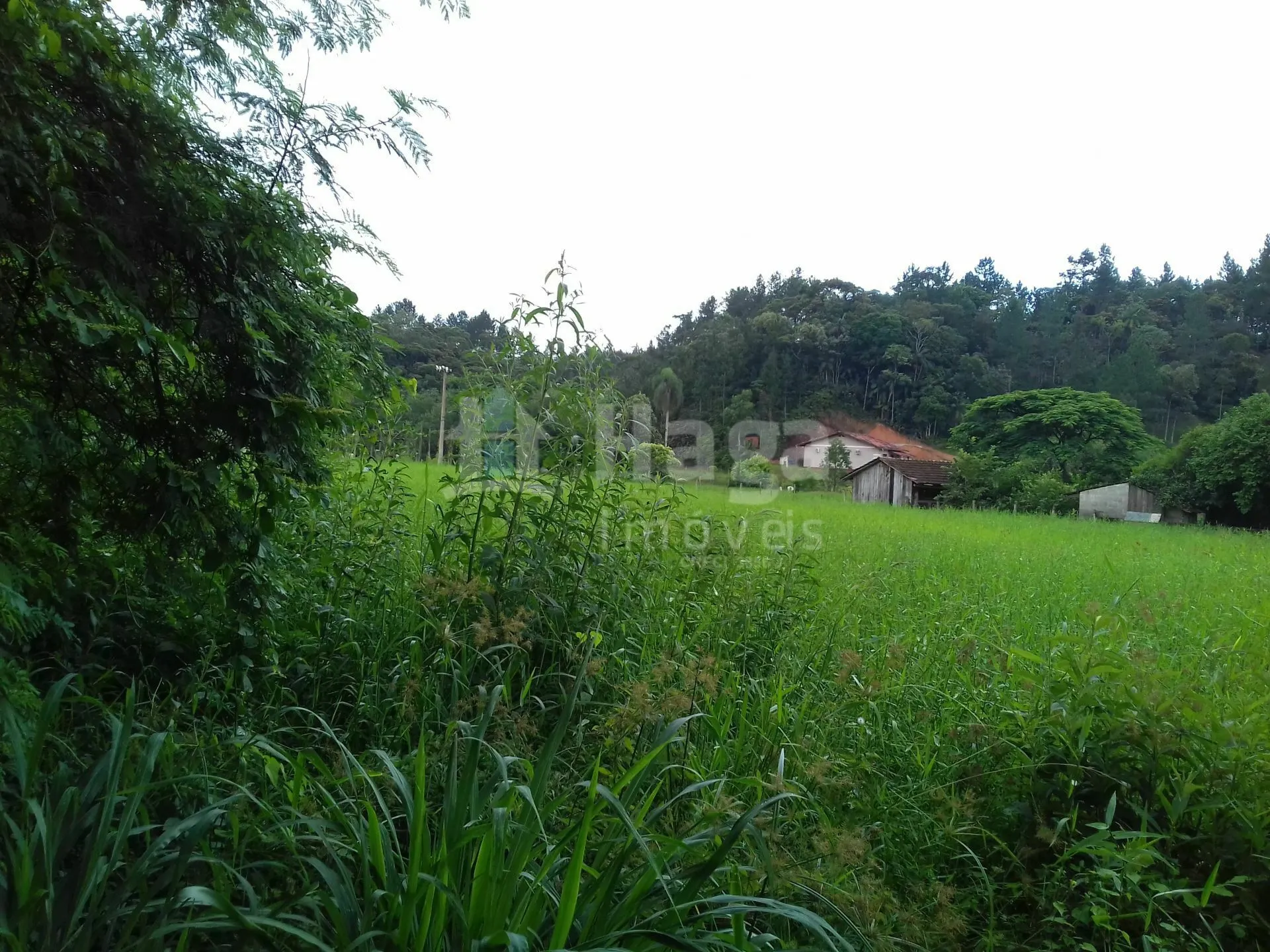 Terreno à venda de 7.700 m² em Guabiruba, SC, Brasil