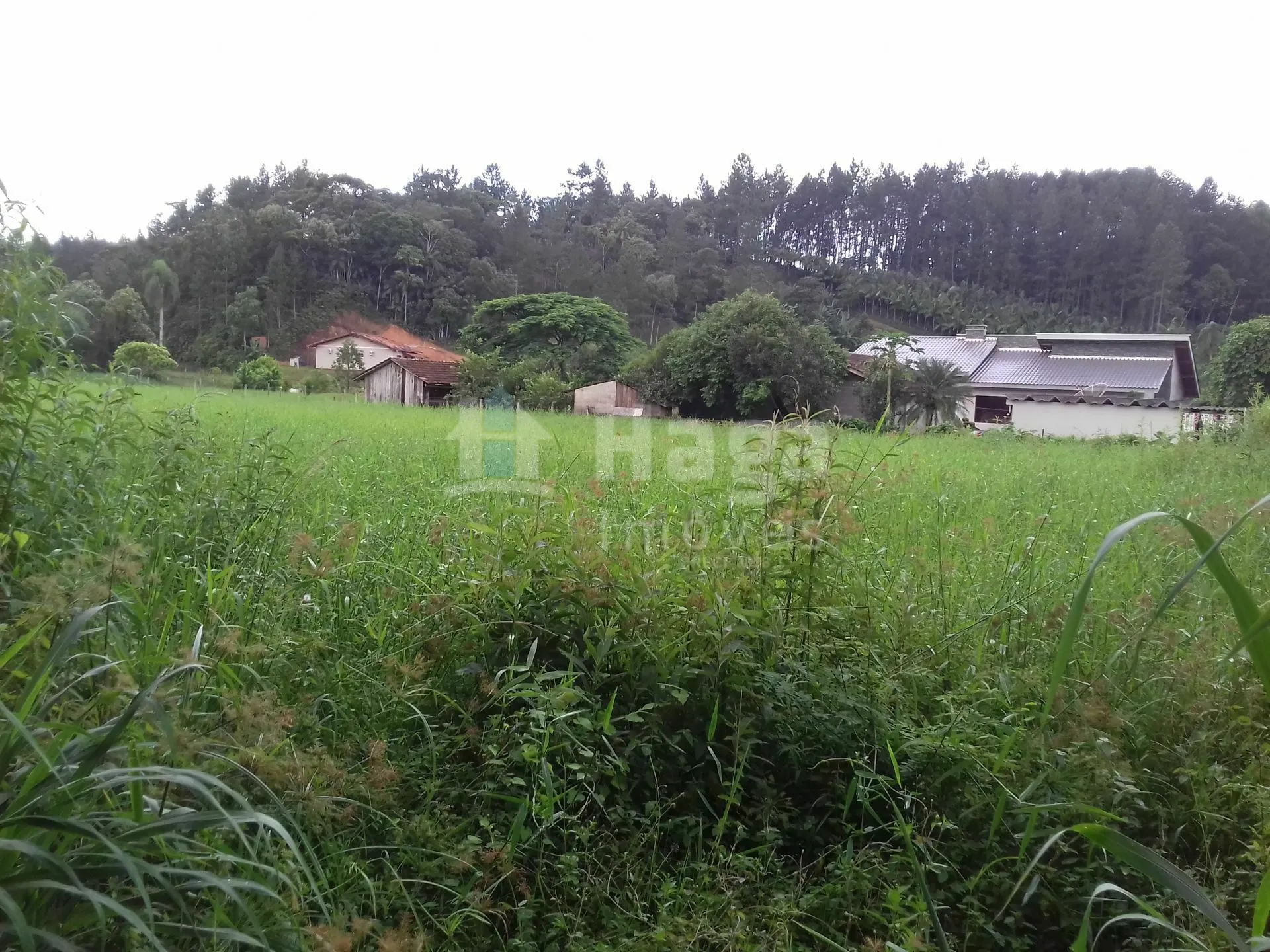 Terreno à venda de 7.700 m² em Guabiruba, SC, Brasil