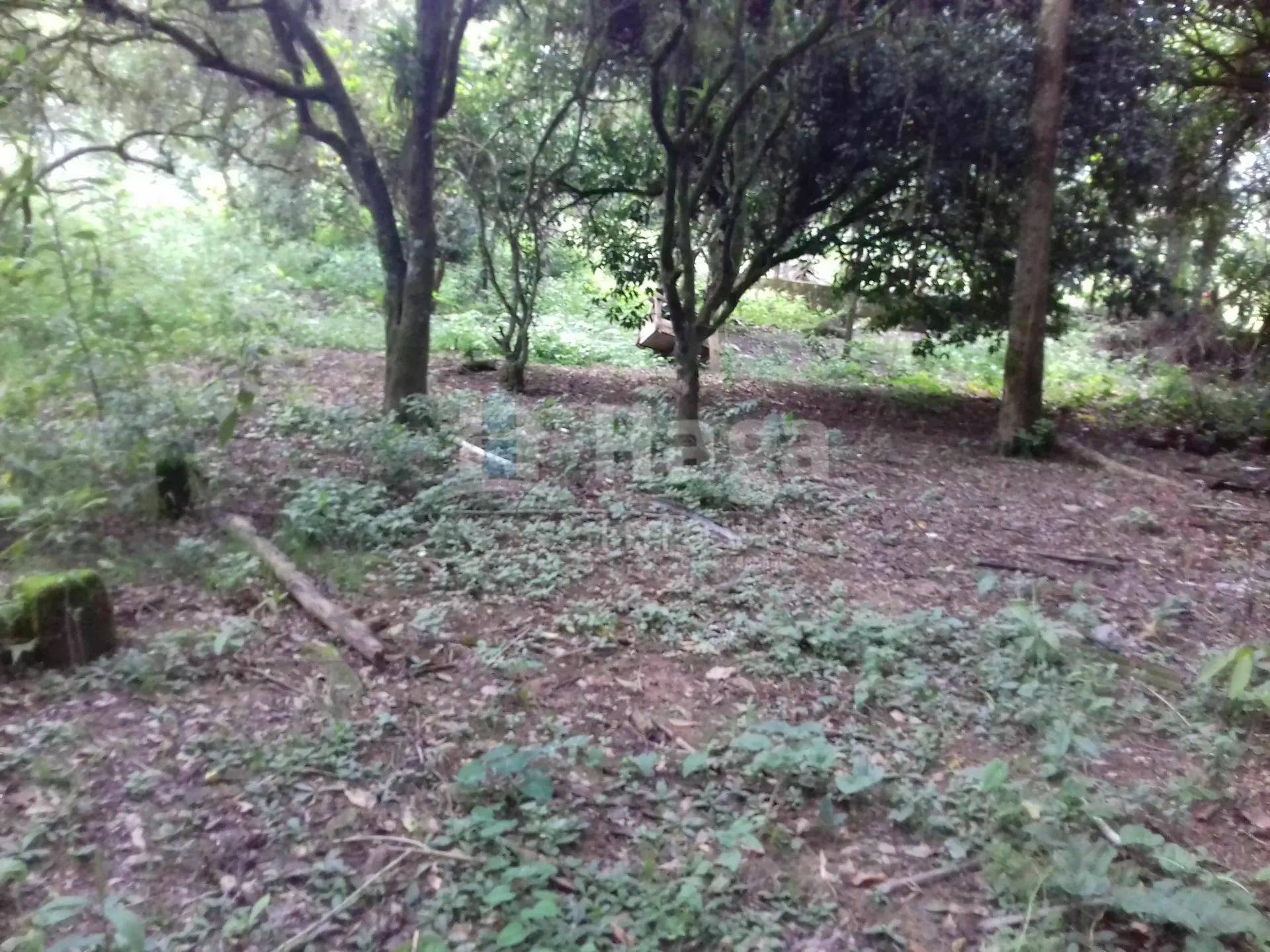 Terreno à venda de 7.700 m² em Guabiruba, SC, Brasil