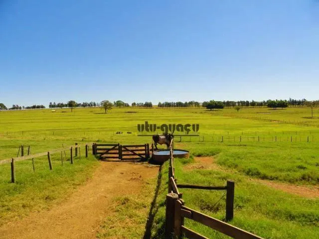 Fazenda à venda de 702 ha em Bauru, SP, Brasil