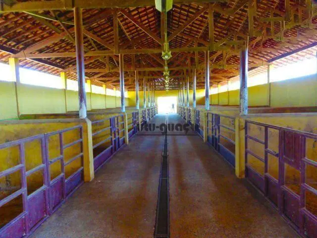 Fazenda à venda de 702 ha em Bauru, SP, Brasil