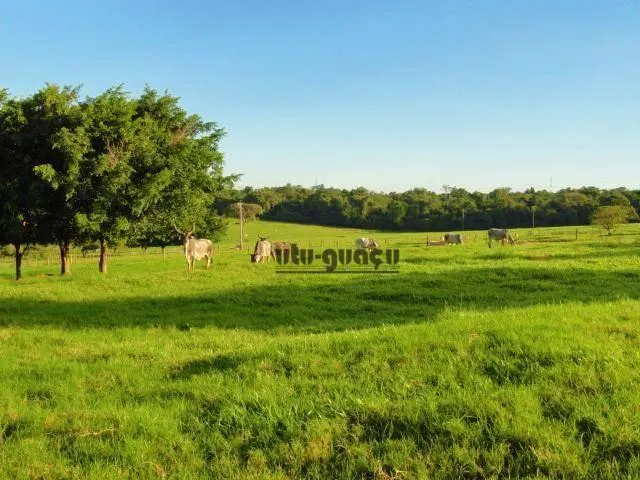 Fazenda à venda de 702 ha em Bauru, SP, Brasil