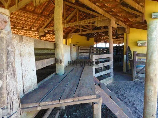 Fazenda à venda de 702 ha em Bauru, SP, Brasil