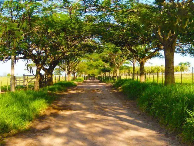 Fazenda à venda de 702 ha em Bauru, SP, Brasil