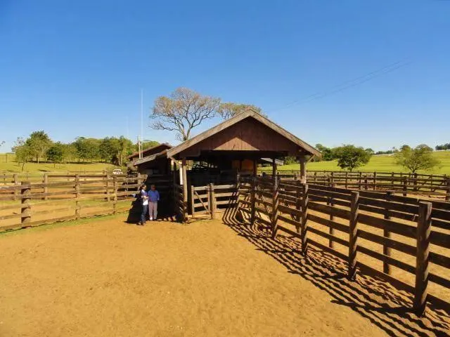 Fazenda à venda de 702 ha em Bauru, SP, Brasil
