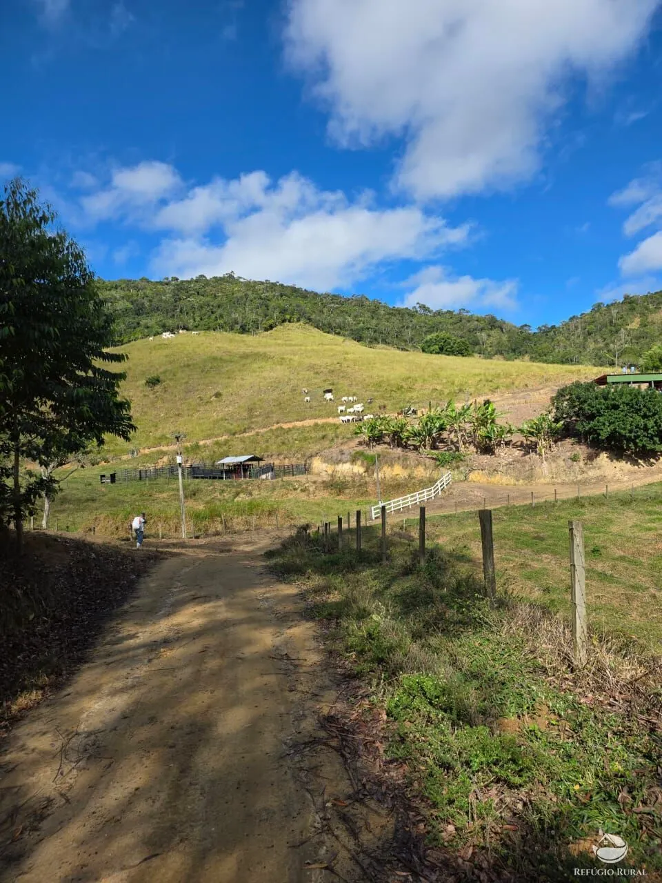 Fazenda à venda de 208 ha em Natividade da Serra, SP, Brasil