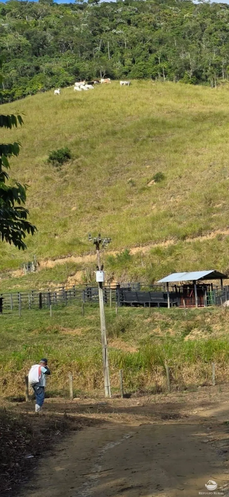 Fazenda à venda de 208 ha em Natividade da Serra, SP, Brasil